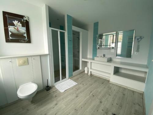 AubrivesHOTEL L'AMERIVIERE***的一间带卫生间、水槽和镜子的浴室