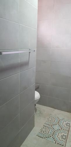 萨利纳斯Riveri Salinas V53的白色的浴室设有卫生间和地毯。