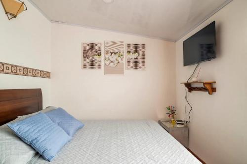 波哥大Excelente ubicación, movistar, parque simon Bolivar的一间卧室配有一张床和一台平面电视