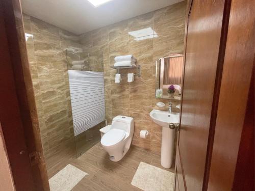圣多明各Hotel Casa Libertad的一间带卫生间和水槽的浴室