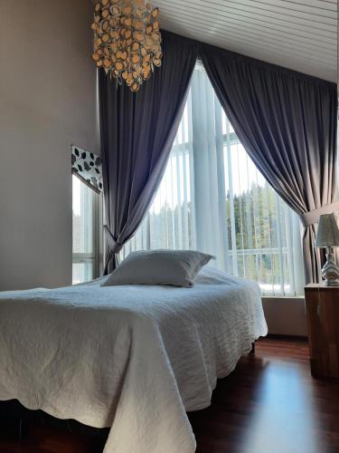 波里Villa Kilpäkki的一间卧室设有一张床和一个大窗户