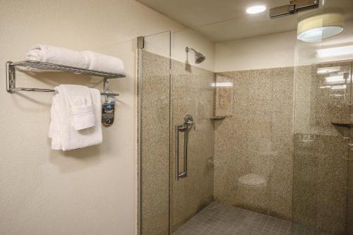 奥斯汀奥斯丁市中心假日酒店的带淋浴和玻璃淋浴间的浴室