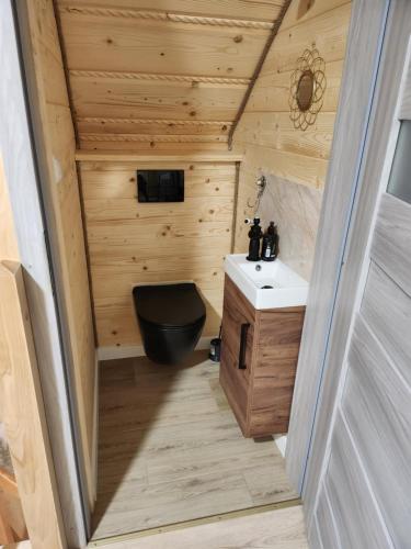 PiekielnikDomek rodzinny的一间带卫生间和水槽的小浴室