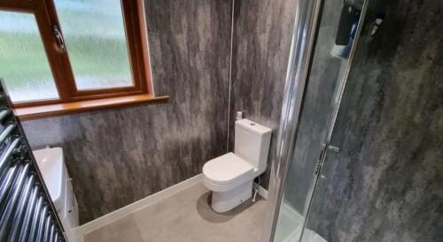 爱丁堡Self-catering extended family home的一间带卫生间和窗户的小浴室
