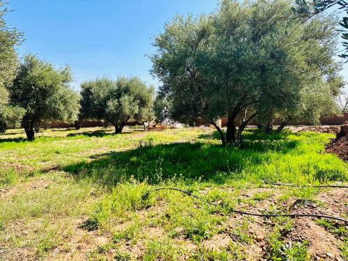 La Ferme des Tipis Marrakech外面的花园