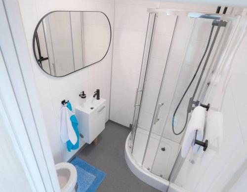 迪勒维尔纳Twin Boats - Butterfly的带淋浴、卫生间和镜子的浴室