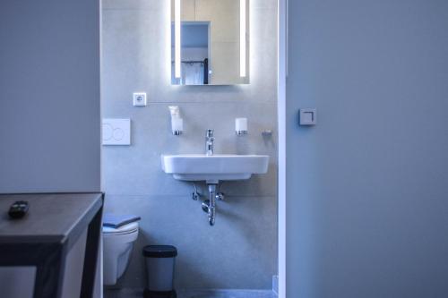 埃兴Hotel Pame Grill的一间带水槽、卫生间和镜子的浴室