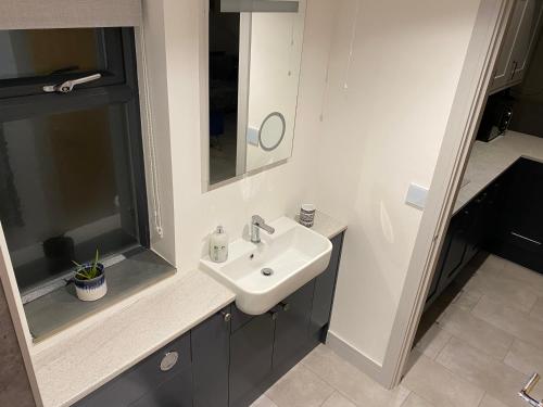 哈佛威斯特Stonecroft Cwtch的一间带水槽和镜子的浴室