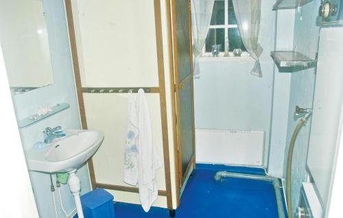 BråsstorpAmazing Home In Rottneros With Kitchen的一间带水槽和淋浴的小浴室