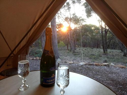 马其顿Macedon Ranges Glamping的帐篷内的桌子上放有一瓶葡萄酒和两杯酒