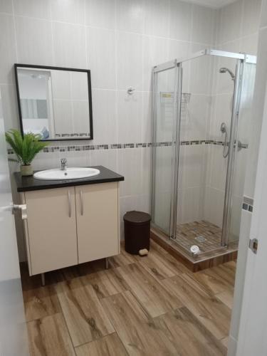 安塞奥潘拉茹舍特酒店的浴室配有盥洗盆和带镜子的淋浴