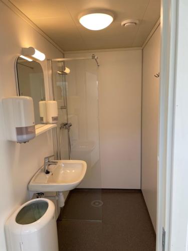 HaugenEnvironmental friendly Ecolodge的一间带水槽、卫生间和镜子的浴室