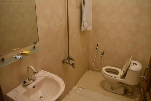 伊斯兰堡17 Guest House的一间带卫生间和水槽的浴室