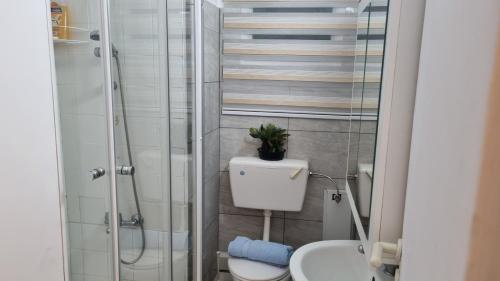 利马索尔Elpida Lemon Garden House的一间带卫生间和淋浴的小浴室