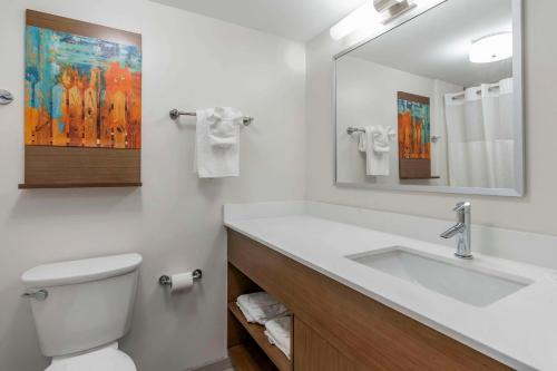 列克星敦MainStay Suites Lexington I-75的一间带水槽、卫生间和镜子的浴室