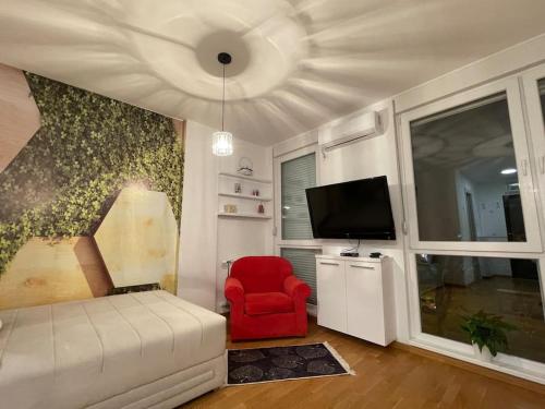 诺维萨德Vera's place的带沙发、电视和红色椅子的客厅