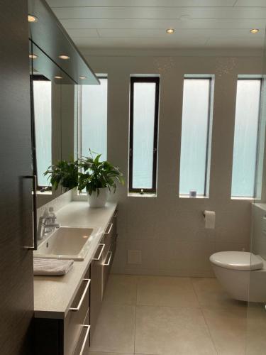 凯夫拉维克Family villa的一间带水槽、卫生间和镜子的浴室