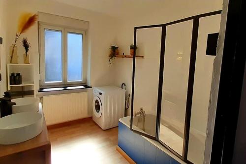 米卢斯La cachette - Maison centre的带淋浴、卫生间和盥洗盆的浴室