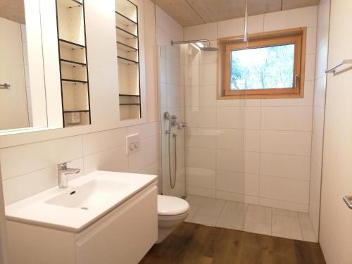 卢塞恩Easy-Living Kriens Apartments的一间带水槽、卫生间和淋浴的浴室
