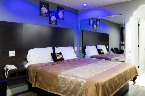 休斯顿Downtowner Inns - Houston Downtown & Convention Center的一间卧室设有两张带蓝色墙壁和镜子的床。