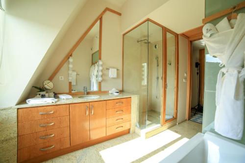 滨海阿热莱斯B&B Château Valmy - Teritoria的一间带水槽和淋浴的浴室