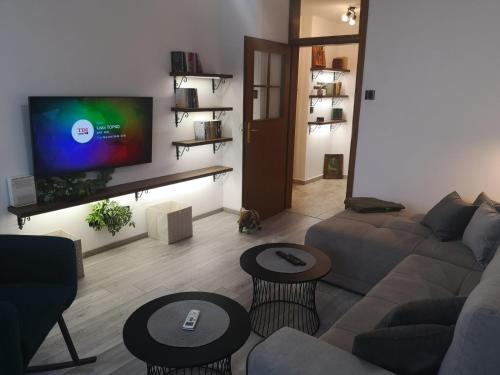 贝尔格莱德Apartman Darvin / Lux的带沙发和平面电视的客厅