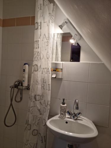 萨尔特河畔拉叙兹L'Aupinouse Chambre double Chardon, au 1er étage avec salle d'eau privative的一间带水槽和淋浴帘的浴室
