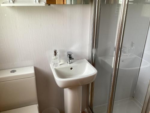 格拉斯哥Auchenlea lodges的白色的浴室设有水槽和淋浴。
