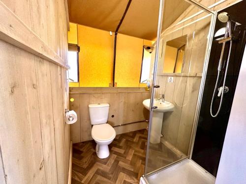 布德Little Pig Glamping的一间带卫生间和水槽的小浴室