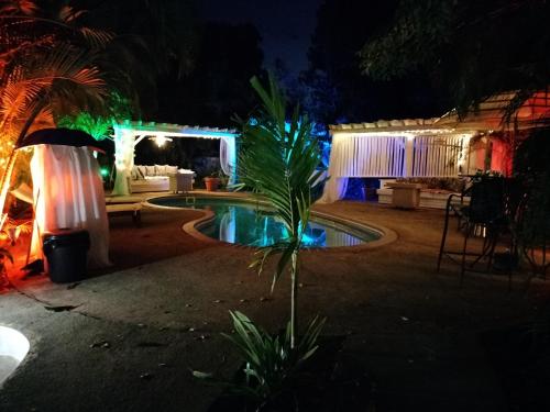 别克斯Casa de Tortuga Guesthouse的夜晚带游泳池的房屋