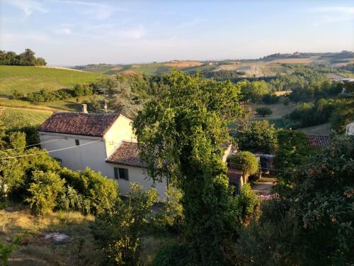OlivolaLa casa dei limoni的树木茂密的山丘上房屋的空中景观