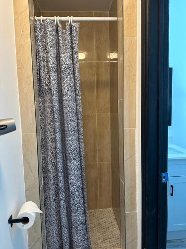 多伦多The Palmerston的浴室内带玻璃淋浴间和浴帘
