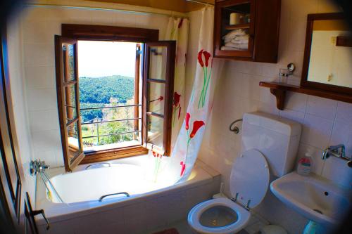 维兹伊萨斯托伊考斯酒店的带浴缸、卫生间和窗户的浴室