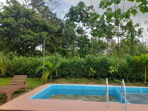 Rio CelesteChava Camping Rio Celeste的一个带长凳和树木的蓝色游泳池