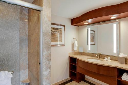 波士顿波士顿洛根机场万怡酒店的一间带水槽和淋浴的浴室