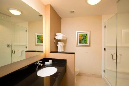 杜兰戈普林斯顿万豪费尔菲尔德套房酒店 的一间带水槽、卫生间和镜子的浴室