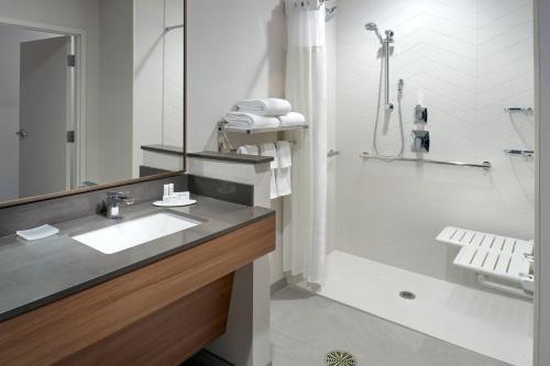 阿森斯Fairfield Inn & Suites by Marriott Athens-University Area的一间带水槽和淋浴的浴室