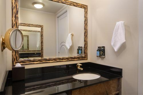 斯波坎达文波特大楼签名收藏酒店的一间带水槽和镜子的浴室