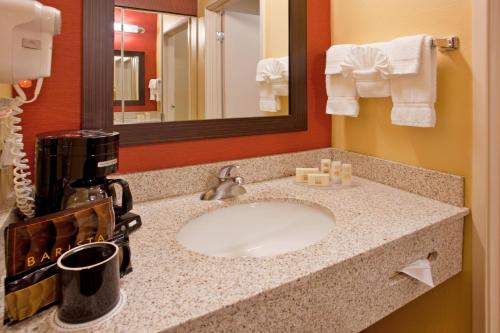 兀兰休斯顿庭院伍德兰酒店的一间酒店客房内带水槽的浴室