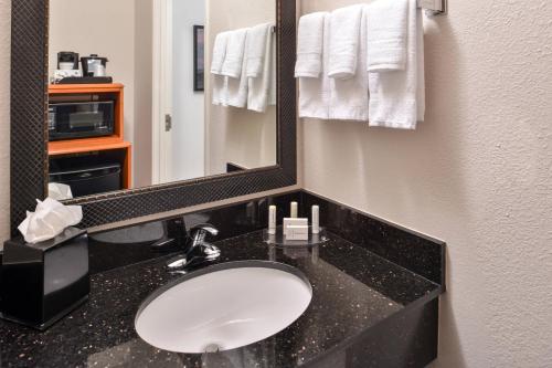 奥卡拉奥卡拉万豪费尔菲尔德套房酒店的一间带水槽和镜子的浴室