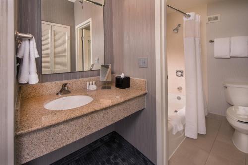 尚蒂伊Courtyard by Marriott Dulles Airport Chantilly的一间带水槽、卫生间和镜子的浴室