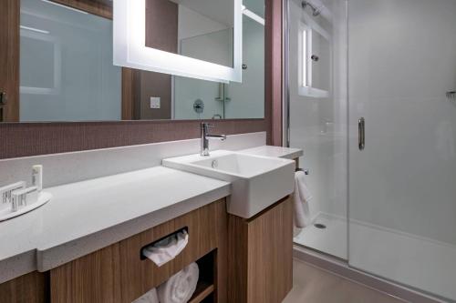 伦瑟姆SpringHill Suites By Marriott Wrentham Plainville的一间带水槽和淋浴的浴室