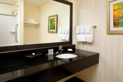 坎伯兰Fairfield Inn & Suites by Marriott Cumberland的一间带水槽和大镜子的浴室