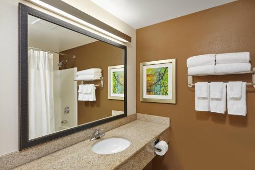 隆巴德芝加哥隆巴德非瑞德套房酒店的浴室配有盥洗盆、镜子和毛巾