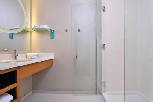 阿什本阿什本杜勒斯北SpringHill套房酒店的带淋浴和盥洗盆的浴室