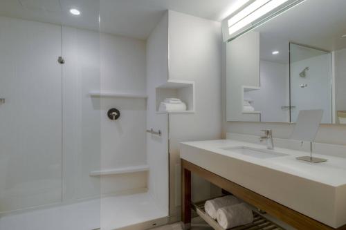 温尼伯温尼伯机场万怡酒店的白色的浴室设有水槽和淋浴。