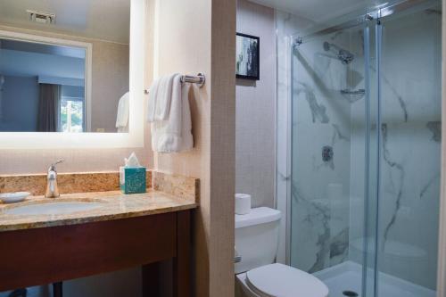 拉米拉达普安那公园公寓式酒店的带淋浴、盥洗盆和卫生间的浴室