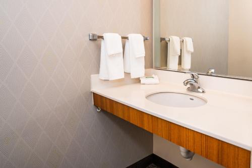 圣安东尼奥万豪圣安东尼奥阿拉莫广场/会展中心春季山丘套房酒店的浴室配有盥洗盆、镜子和毛巾