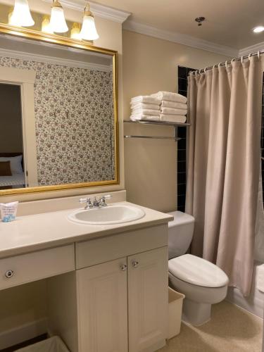 温哥华金士顿住宿加早餐旅馆的一间带水槽、卫生间和镜子的浴室