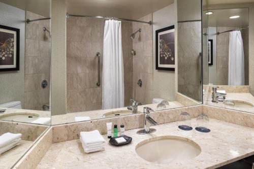 罗斯芒特芝加哥奥黑尔喜来登套房酒店的一间带水槽和大镜子的浴室
